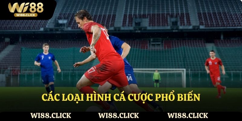 Các loại hình cá cược phổ biến
